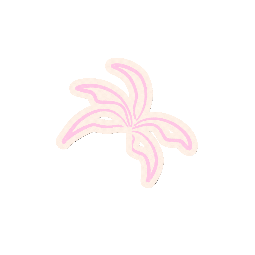 Animation site web (1)