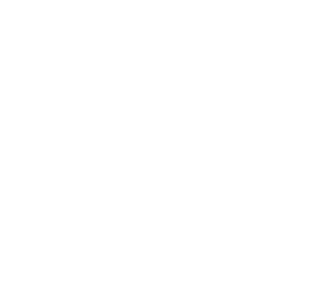 MAYDI-logoicone-blanc