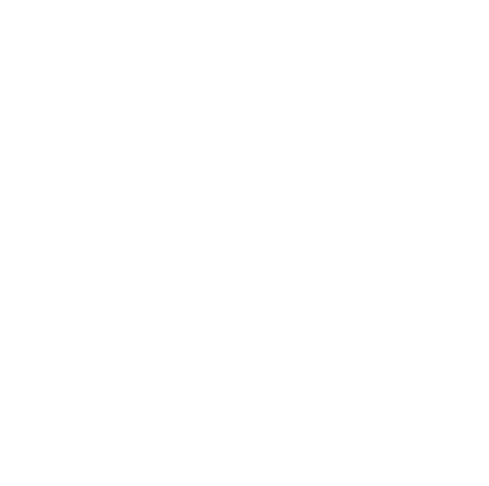 MAYDI-logoicone1-blanc